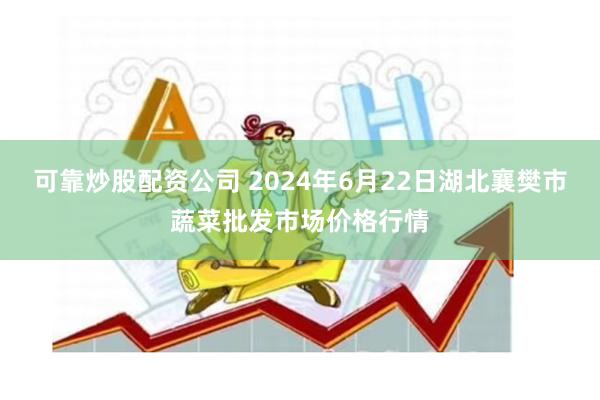 可靠炒股配资公司 2024年6月22日湖北襄樊市蔬菜批发市场价格行情